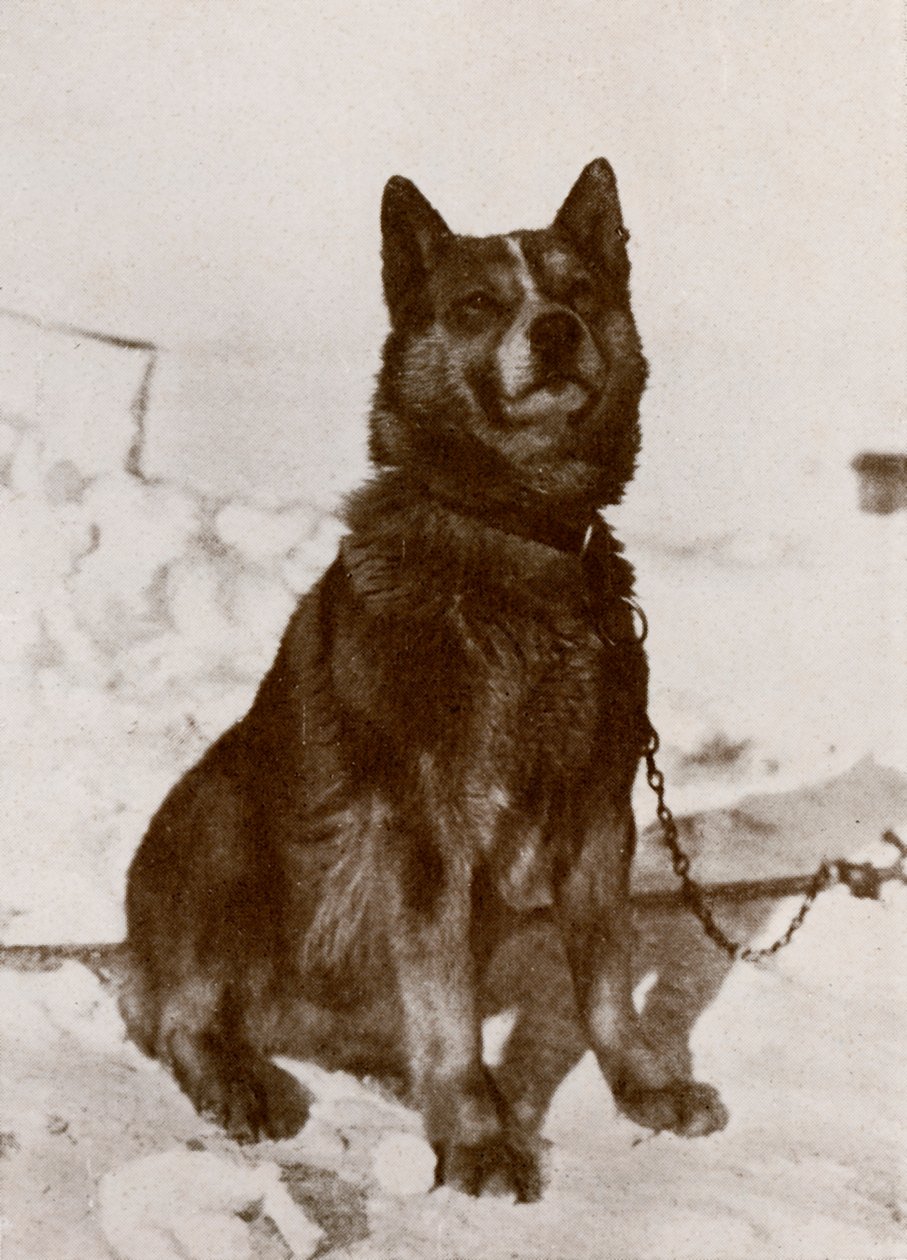 كريسرافيتسا ، c19101913 ، 1913 بواسطة هربرت بونتينج