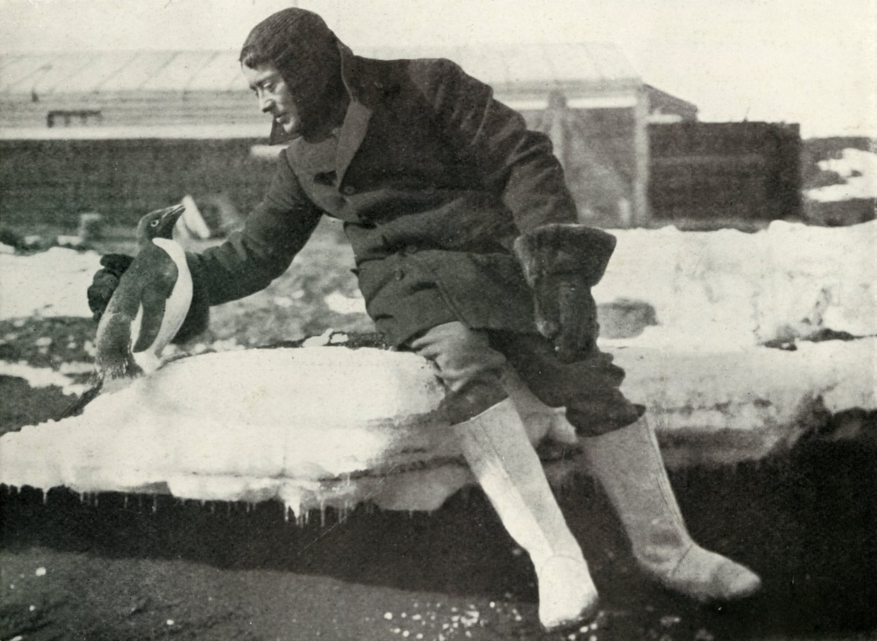 الكذب. رينيك وبنغوين ودية ، 1911 ، 1913 بواسطة هربرت بونتينج