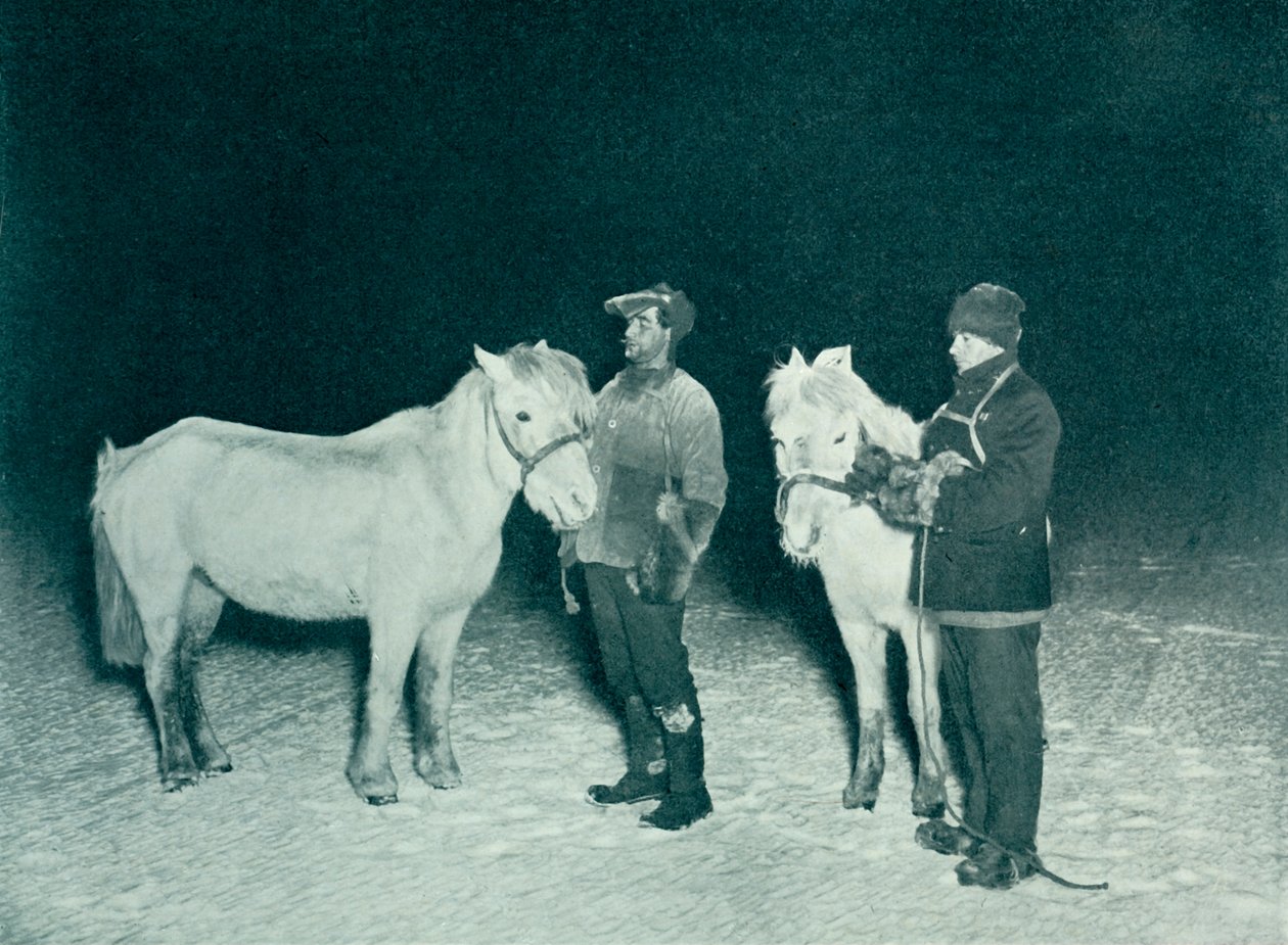 الضباط الصغار Crean و Evans يمارسون مهورهم في الشتاء ، 1911 ، 1913 بواسطة هربرت بونتينج