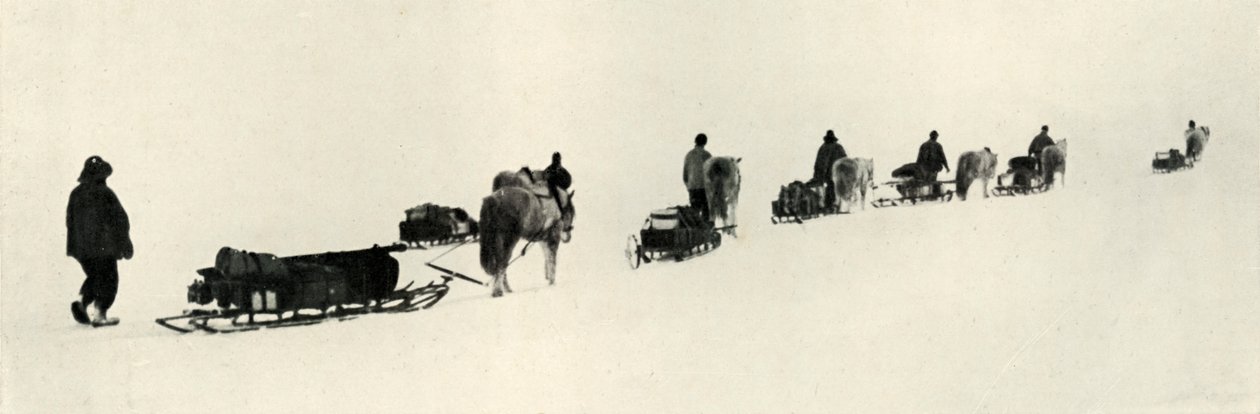 المهور في مارس 1911 ، 1913 بواسطة هربرت بونتينج