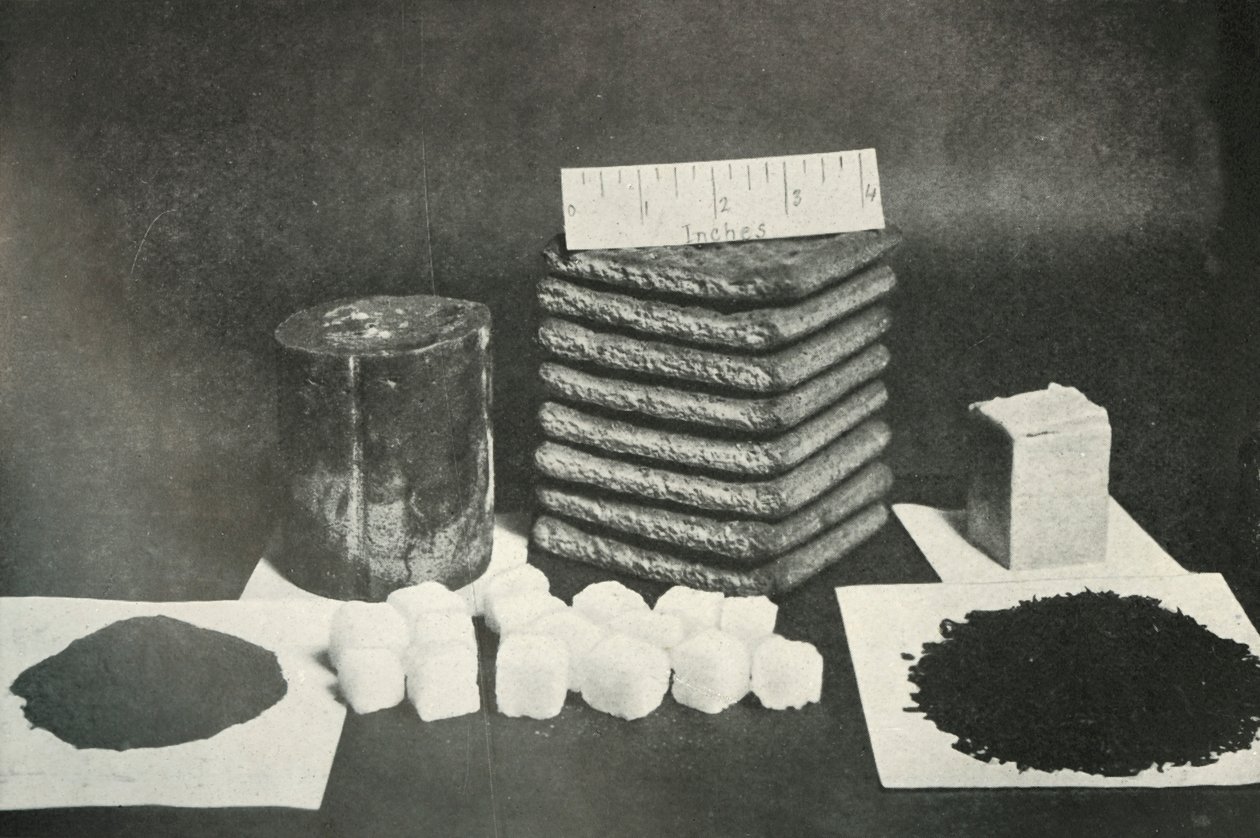 The Polar Partys Sledging Ration Pemmican ، البسكويت ، الزبدة ، الكاكاو ، السكر والشاي ، 1911 ، 1913 بواسطة هربرت بونتينج