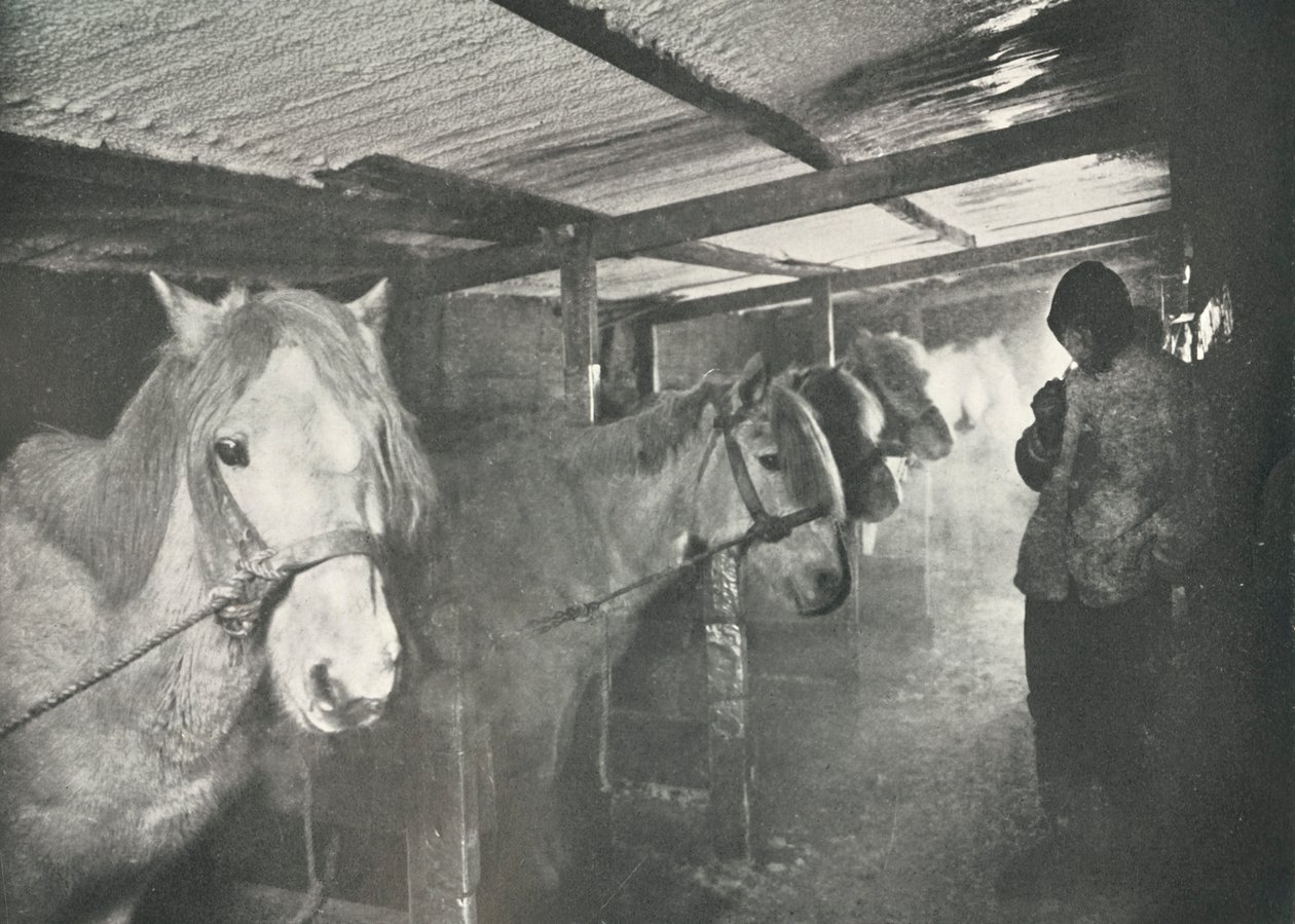 الاسطبلات في الشتاء ، c19101911 ، 1913 بواسطة هربرت بونتينج