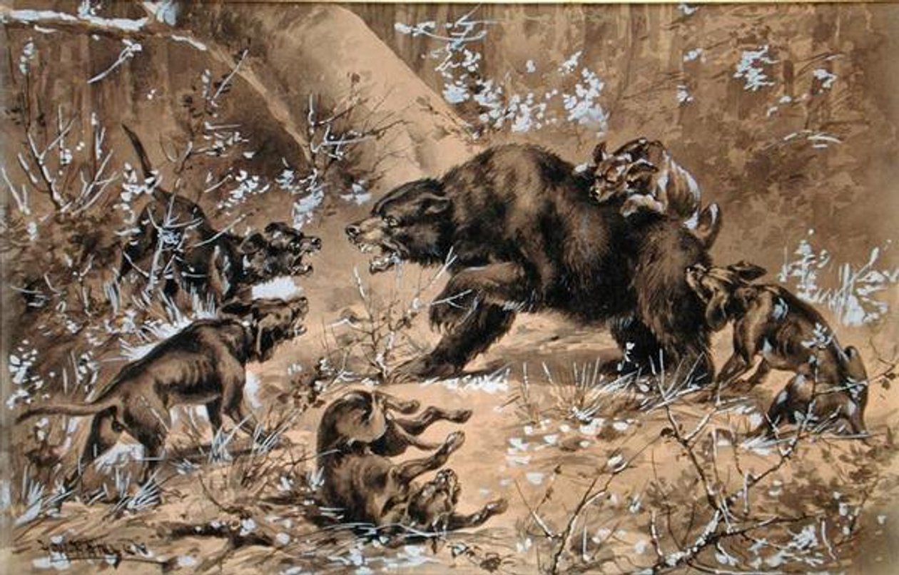 Bear Hunt (ألوان مائية وصينية بيضاء على ورق) بواسطة هيرمان وينديلبورج هانسن
