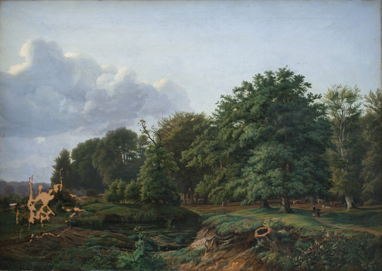 A Forrest بالقرب من Hellebæk في شمال نيوزيلندا. بعد الظهر. بواسطة هيرمان كارمينكي