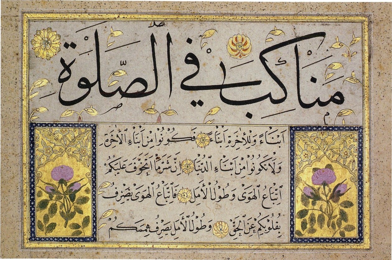  بواسطة حافظ عثمان