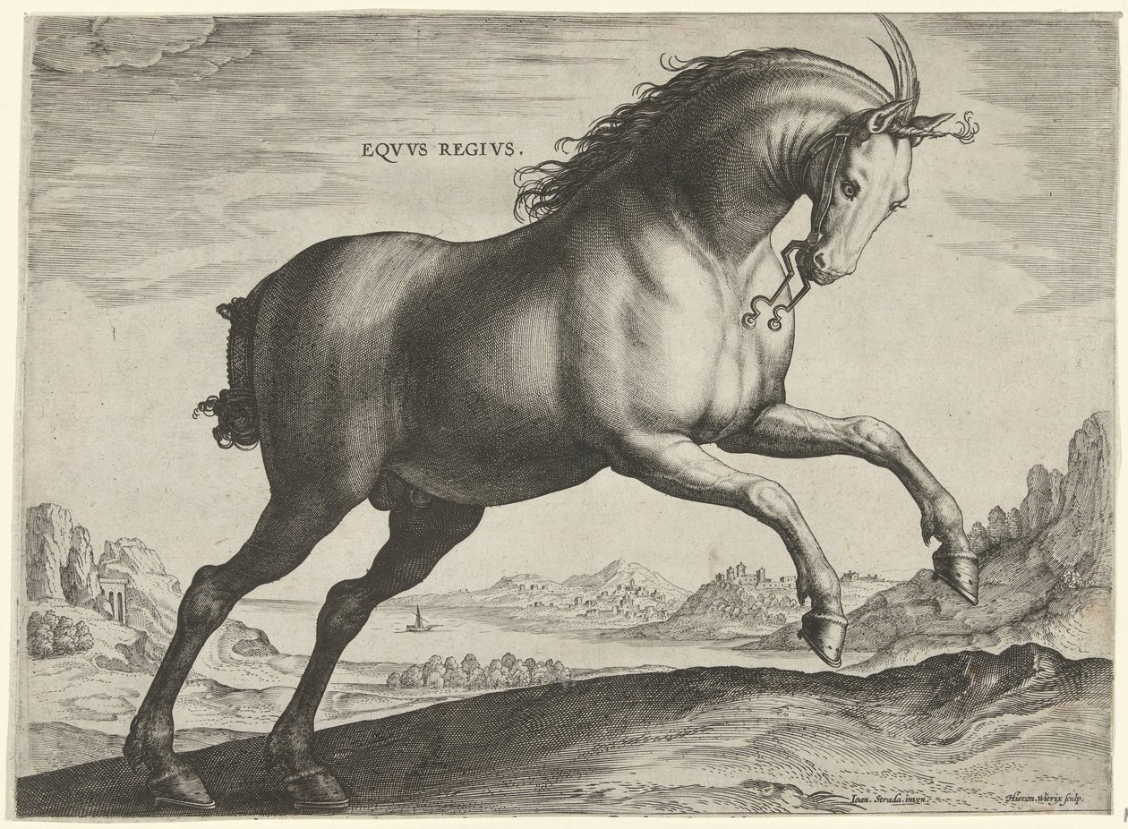 سلالة حصان Equus Regius (الملكية) Eqvvs Regivs (العنوان على الكائن) سلالات الخيول من الاسطبلات الملكية في النمسا دون جوان (عنوان السلسلة) Equile Ioannis Austriaci Caroli (عنوان المسلسل) بواسطة هيرونيموس ويريكس