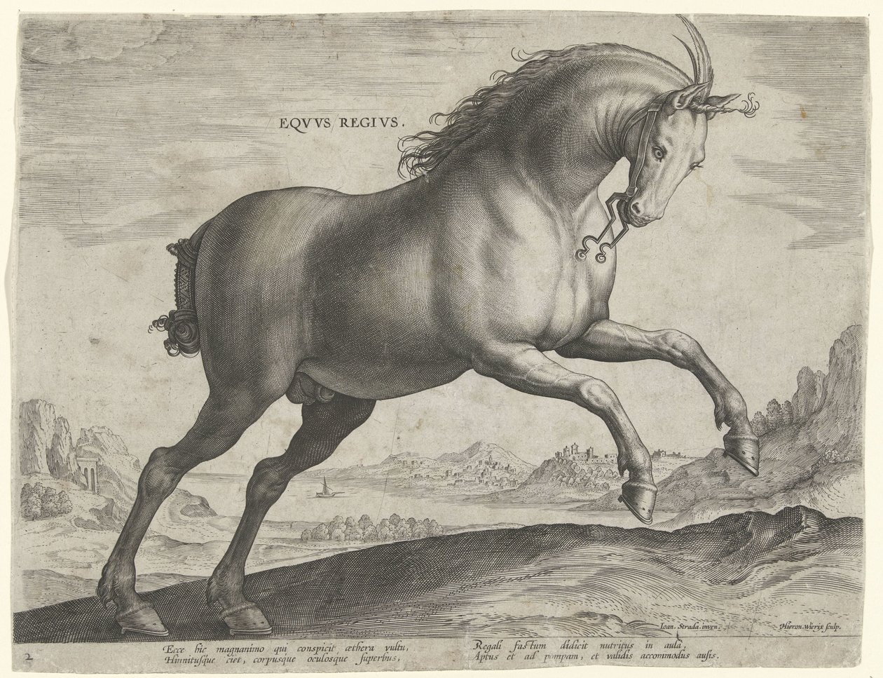 سلالة حصان Equus Regius (الملكية) Eqvvs Regivs (العنوان على الكائن) سلالات الخيول من الاسطبلات الملكية في النمسا دون جوان (عنوان السلسلة) Equile Ioannis Austriaci Caroli (عنوان المسلسل) بواسطة هيرونيموس ويريكس