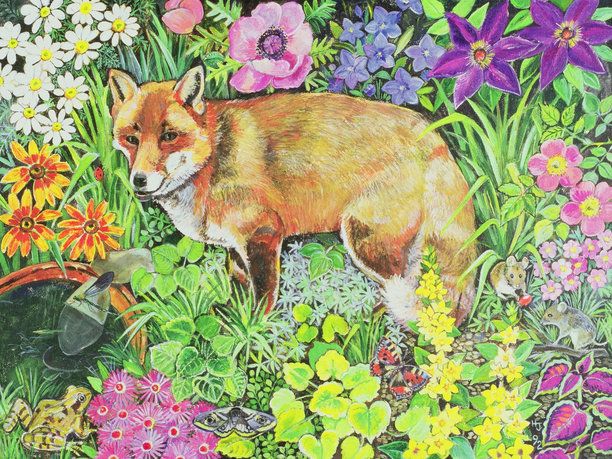 The Barnet Fox بواسطة هيلاري جونز