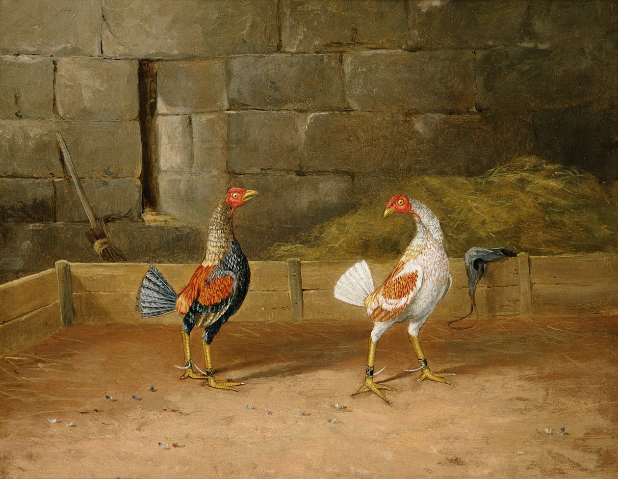 The Challenge (oil on canvas) (pair to 101164) بواسطة هيلتون L. Jnr. برات