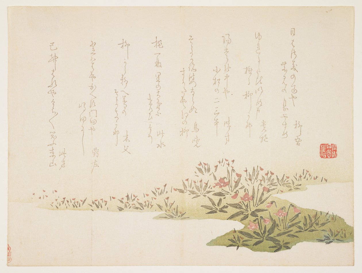 البنفسج ، c.1848-53 (طباعة كتل خشبية ملونة) بواسطة 