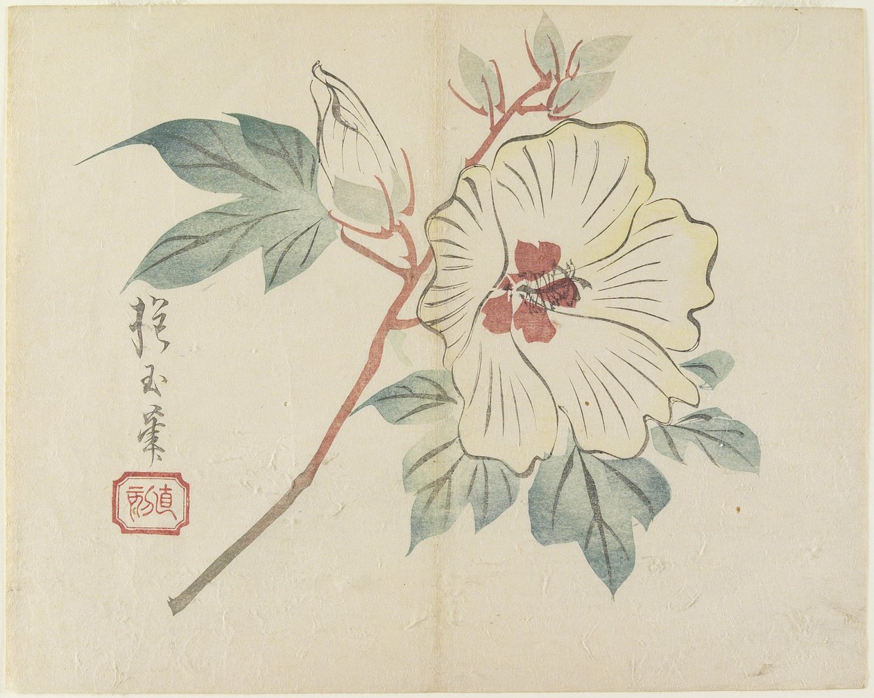 (زهرة بيضاء كبيرة) ، ج. 1830 بواسطة Hogyoku