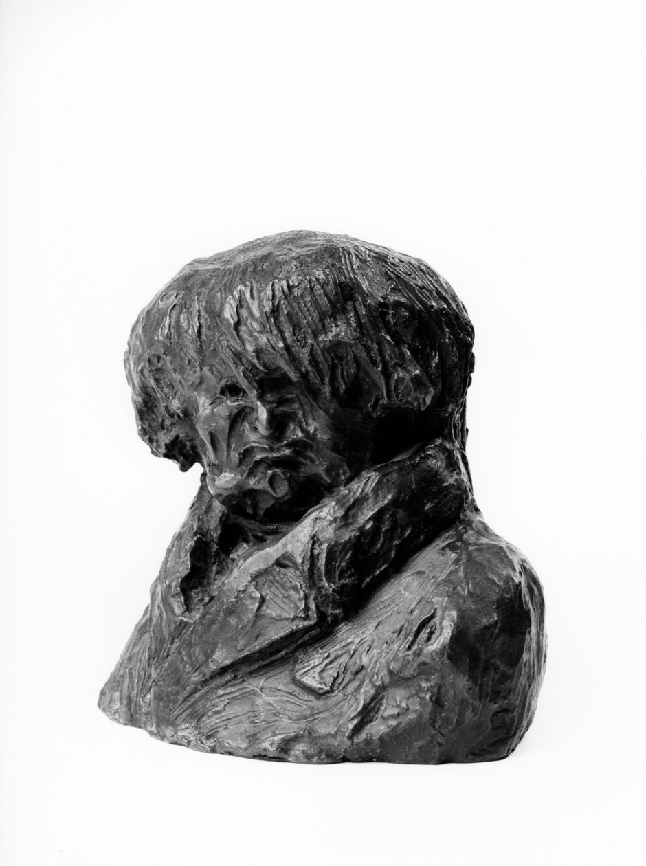 تمثال نصفي للكاريكاتور "" Celebrites du Juste Milieu "" لكليمان برونيل (1777-1853) ، طبيب ونائب وعمدة ليون "" منحوتة أونوريه دومير (1808-1879) من القرن التاسع عشر. خافت في سم ارتفاع 13 × طول 15 Inv RF 263 Musee des Beaux Arts ، Palais Long بواسطة الشرف دومييه