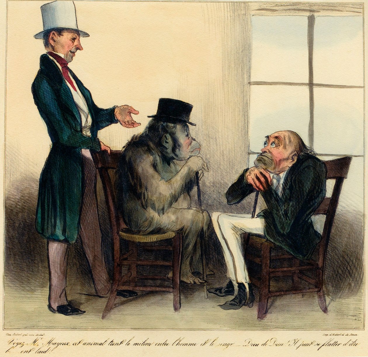 See Mr. Mayeux, this animal holds the middle ground between man and monkey - God