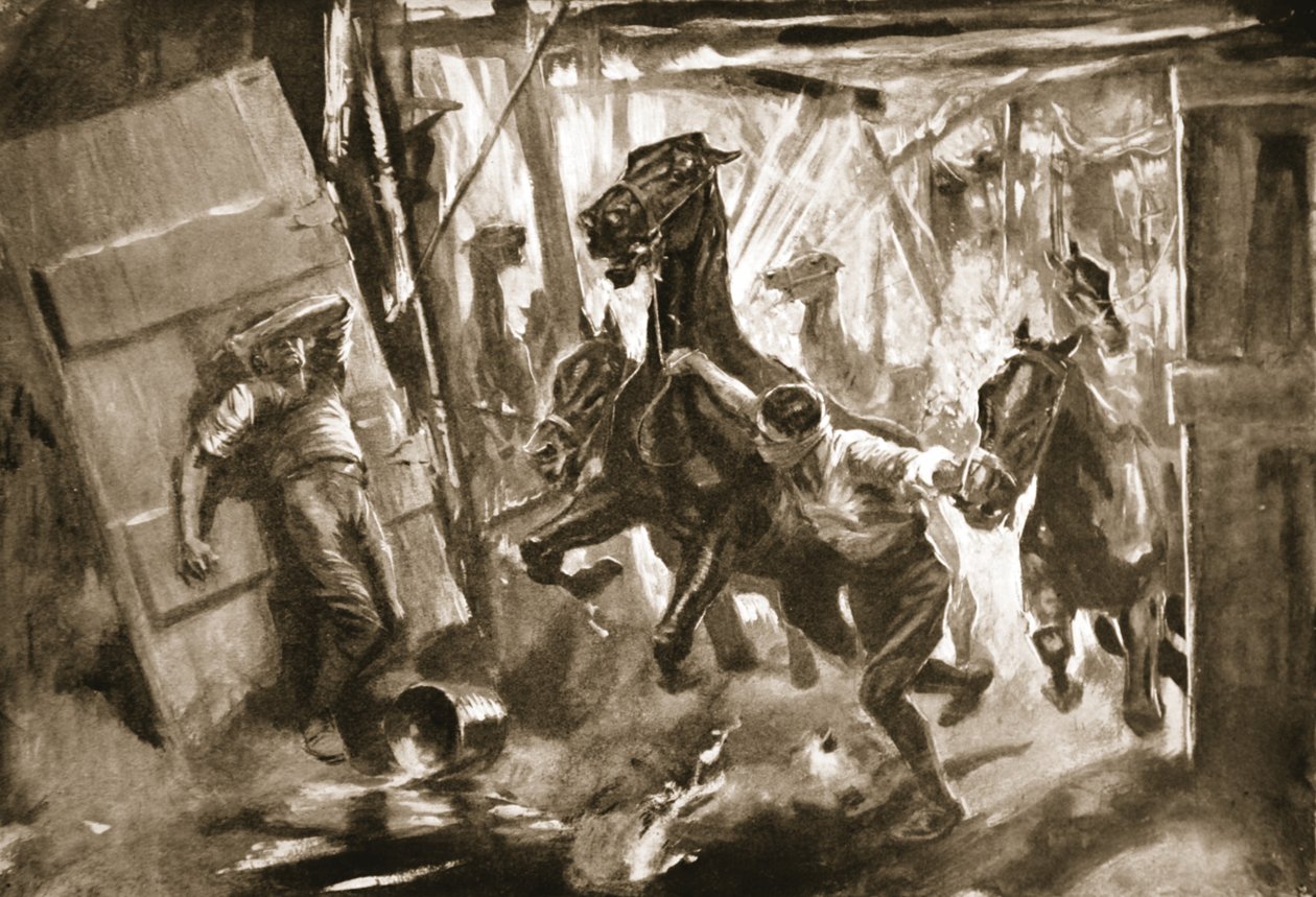 مؤقتا Farrier - الرقيب Cussens يخرج الخيول من الاسطبلات التي انفجرت فيها قذيفة بواسطة هوارد ك. إلكوك