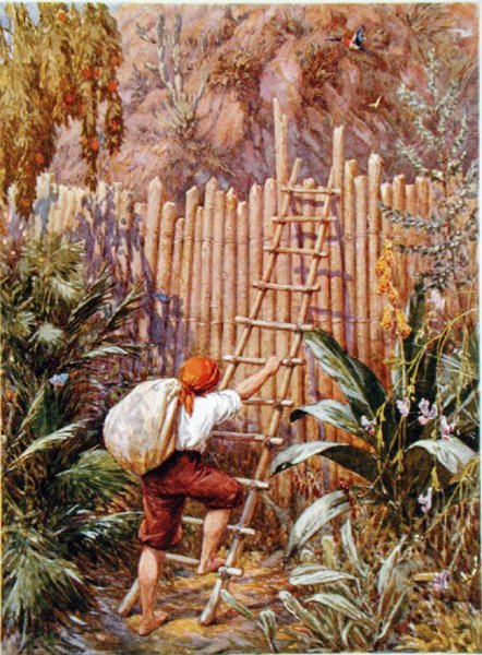 كروزو وقلعته، رسم توضيحي لـ "روبنسون كروزو" بقلم دانييل ديفو (1660-1731) (ليثو ملون) بواسطة هوارد ديفي