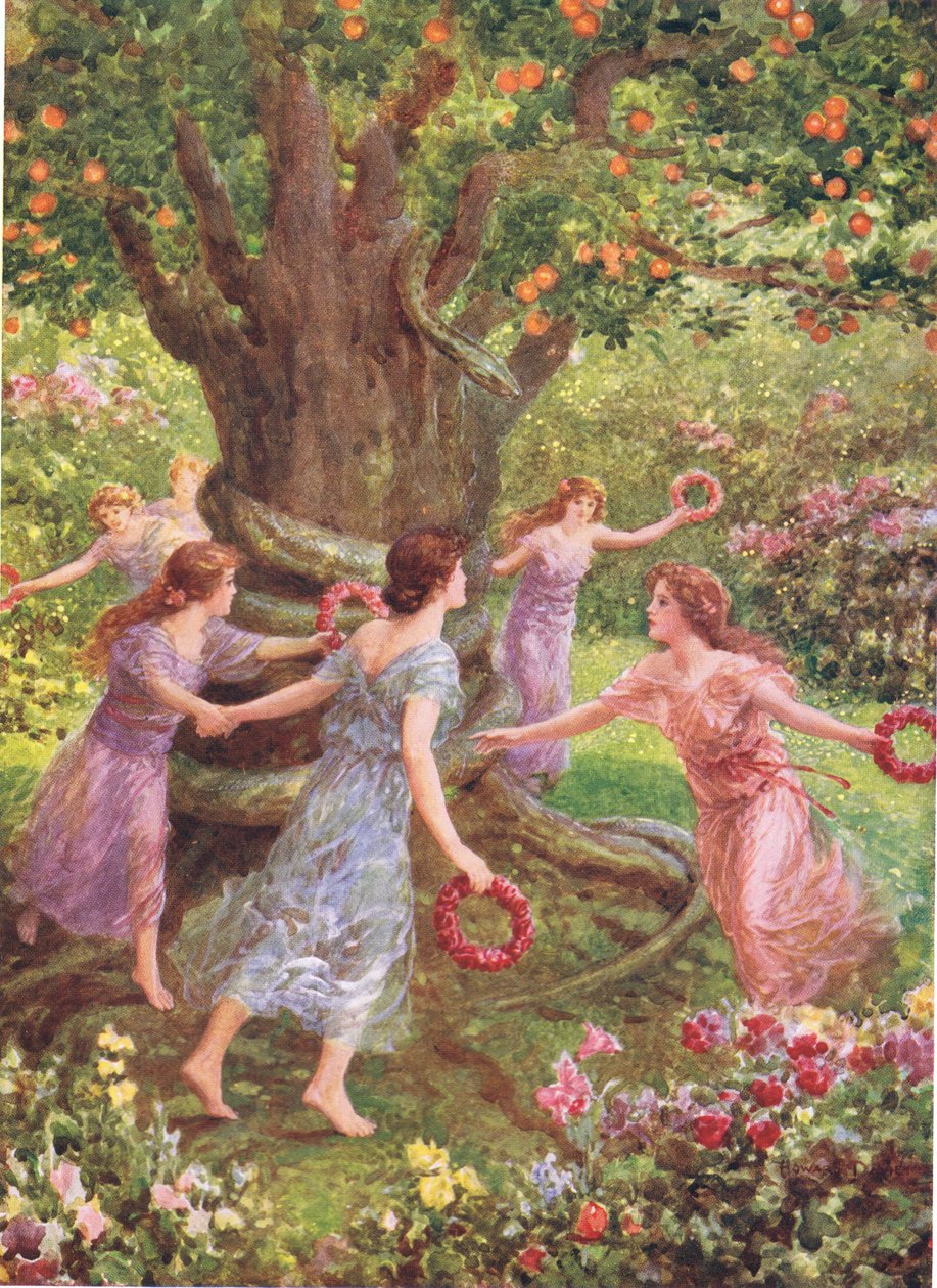 "رآهم Perseus يرقصون حول الشجرة الساحرة" ، رسم توضيحي لـ "How Perseus قتل Gorgon" من The Heroes of Greek Fairy Tales ، من تأليف Charles Kingsley (1819-1875) (color litho) بواسطة هوارد ديفي