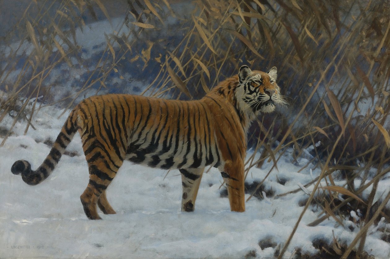 "Un tigre dans la neige" (نمر في الثلج) لوحة لهوجو أنجويتر (1869-1944) مجموعة خاصة 1912 بواسطة عاصفة هوغو