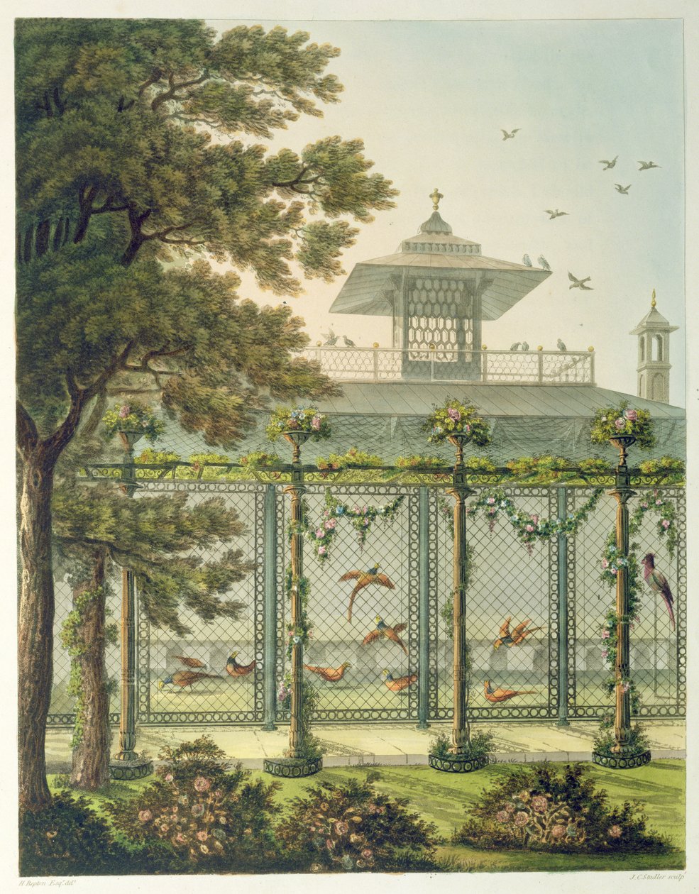 Pheasantry ، نقش جوزيف قسطنطين ستادلر (fl.1780-1812) من "تصاميم للجناح في برايتون" ، حانة. 1808 بواسطة همفري ريبتون