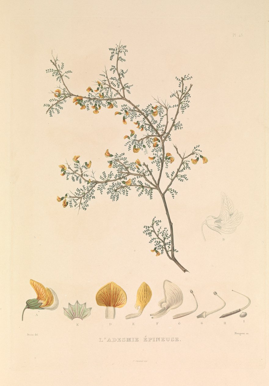  بواسطة صفير إيف فيليب (1781-1846) قوي