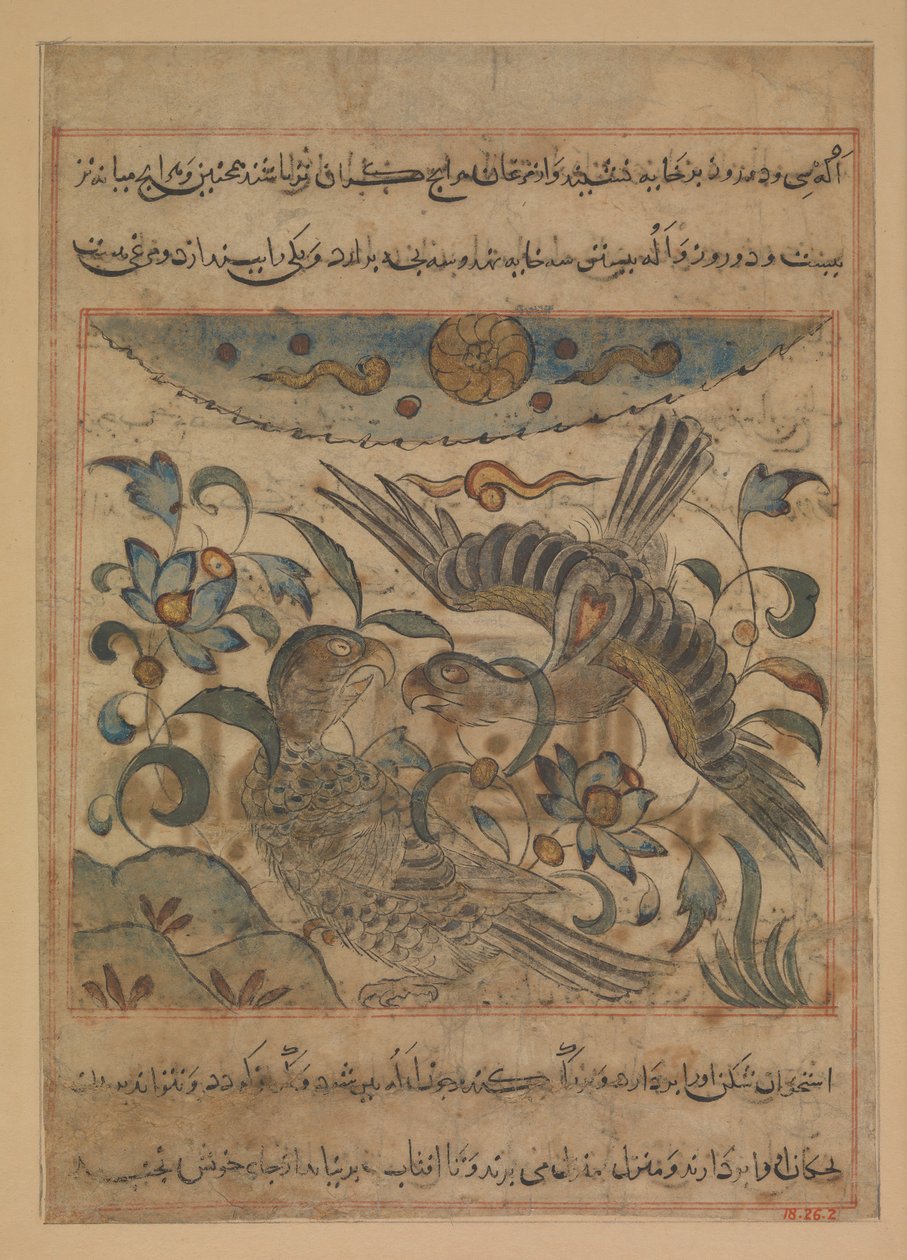 زوج من النسور ، فوليو من منافع الحيوان في نفع الحيوان ... ، كاليفورنيا. 1300. بواسطة ابن بختيشو