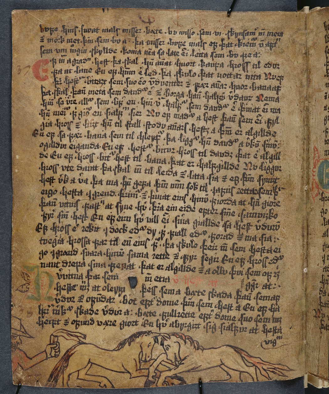 مكافحة الخيول ، من Heynesbok (كتاب هينز) ، النصف الأول من القرن السادس عشر بواسطة المدرسة الآيسلندية