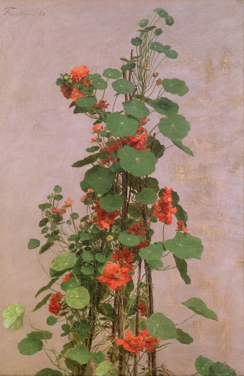 Nasturtiums ، 1880 بواسطة Ignace Henri Jean Fantin Latour