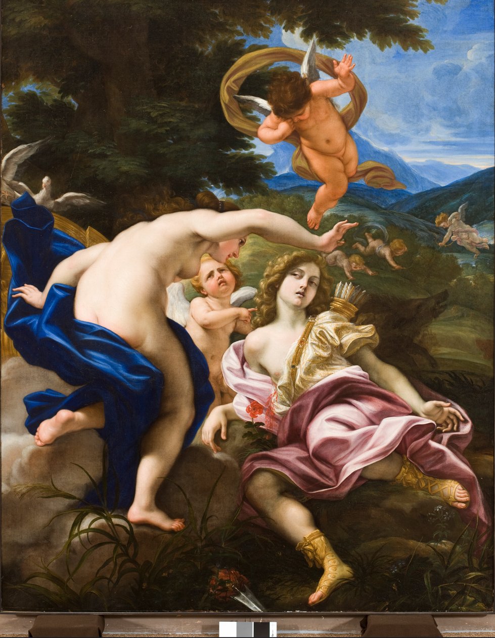 وفاة أدونيس ، c.1683-85 بواسطة Il Baciccio