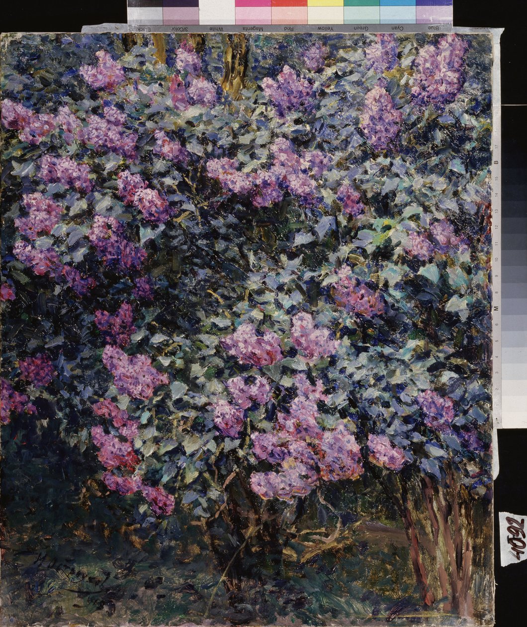 أرجواني. رسم إيليا (إيليا) سيمينوفيتش أوستروخوف (1858-1929) ، زيت على قماش بواسطة إيليا أوستروهوف