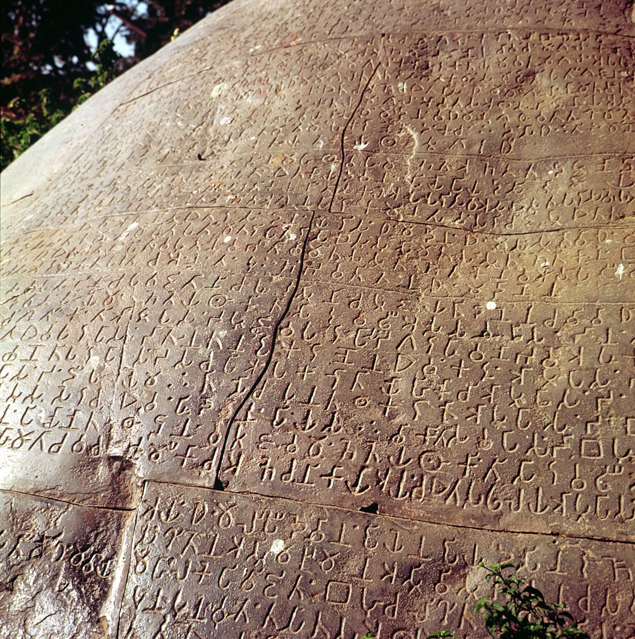 نسخة من حجر الإمبراطور أشوكا (c.264-223 قبل الميلاد) (التفاصيل) بواسطة هندي
