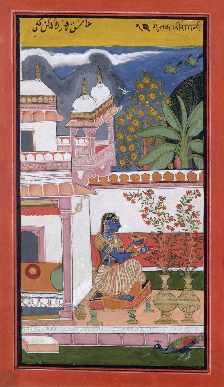 سيدة قطف الزهور من وعاء ، بوندي ، راجستان ، مدرسة راجبوت ، 1680 ، بواسطة المدرسة الهندية
