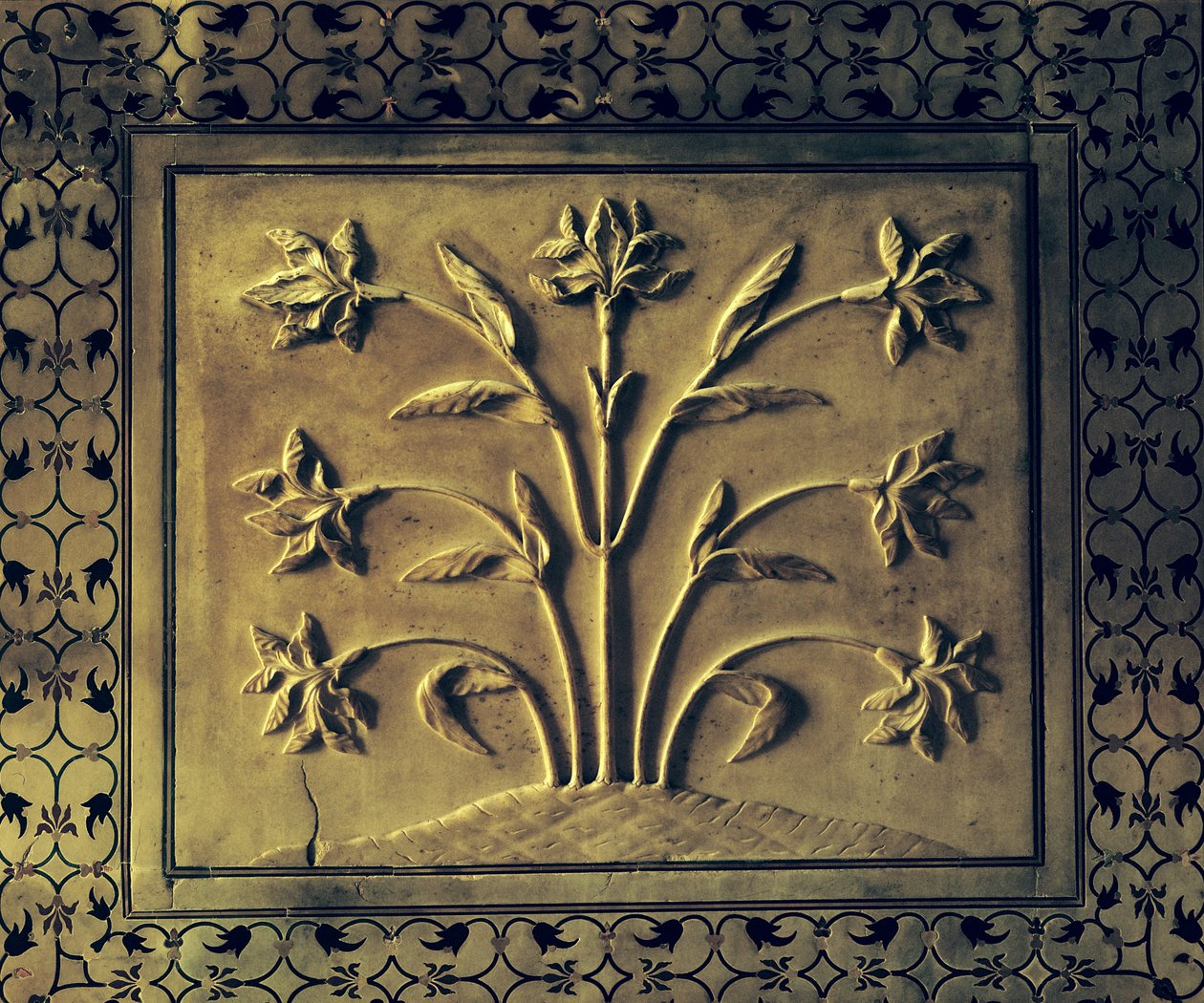 نبات مزهر ، تفاصيل لوحة من الرواق الدائري ، 1631-41 (رخام) بواسطة المدرسة الهندية