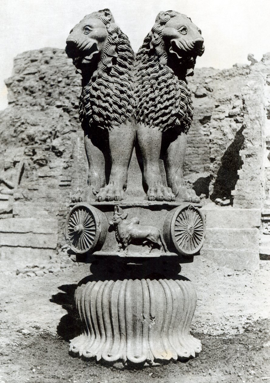 رأس أسد من عمود الإمبراطور أشوكا ، 273-236 قبل الميلاد (حجر رملي مصقول) بواسطة المدرسة الهندية
