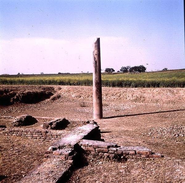 عمود الإمبراطور أشوكا (264-223 قبل الميلاد) موريان (صورة) (انظر أيضًا 162926) بواسطة هندي