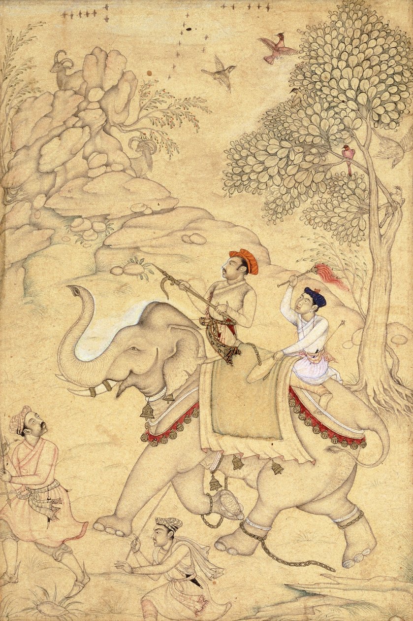 أمير الصيد ، مثبت على فيل ، c.1600-1650 بواسطة المدرسة الهندية