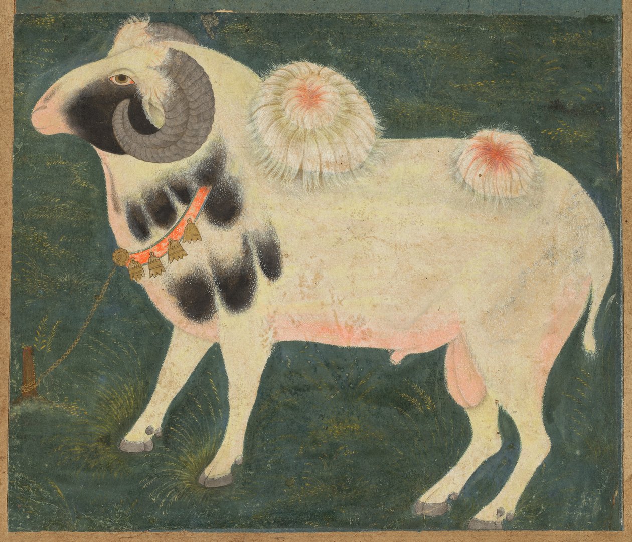 كبش ملكي بسلسلة من الذهب ، ج. 1585 (ألوان مائية غير شفافة وذهبية على ورق) بواسطة المدرسة الهندية