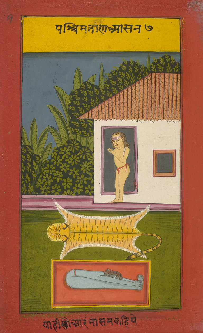 أضف 24099 f.9 yogi ، رسم توضيحي من "Asanas and Mudras" (Hata Yoga) (قلم وحبر مع ألوان مائية على ورق) بواسطة المدرسة الهندية