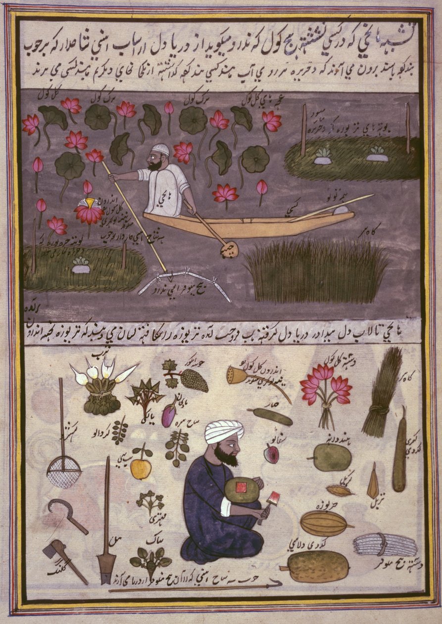 "ألبوم الصفقات الكشميرية" حوالي عام 1860 (ألوان مائية على ورق) بواسطة المدرسة الهندية