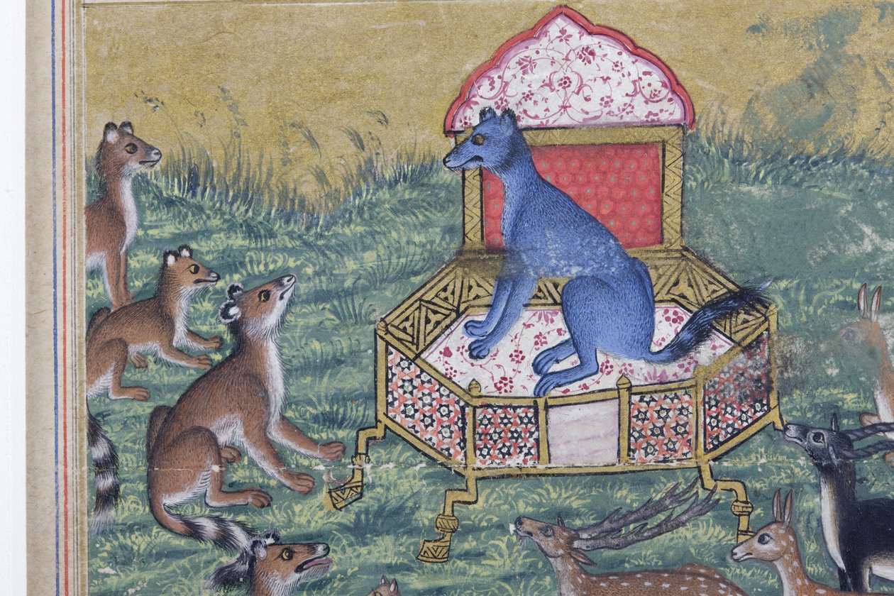 تفاصيل من ابن آوى الذي أعلن نفسه ملكًا ، c.1560-65 (مرحاض غير شفاف وذهب على ورق) بواسطة المدرسة الهندية