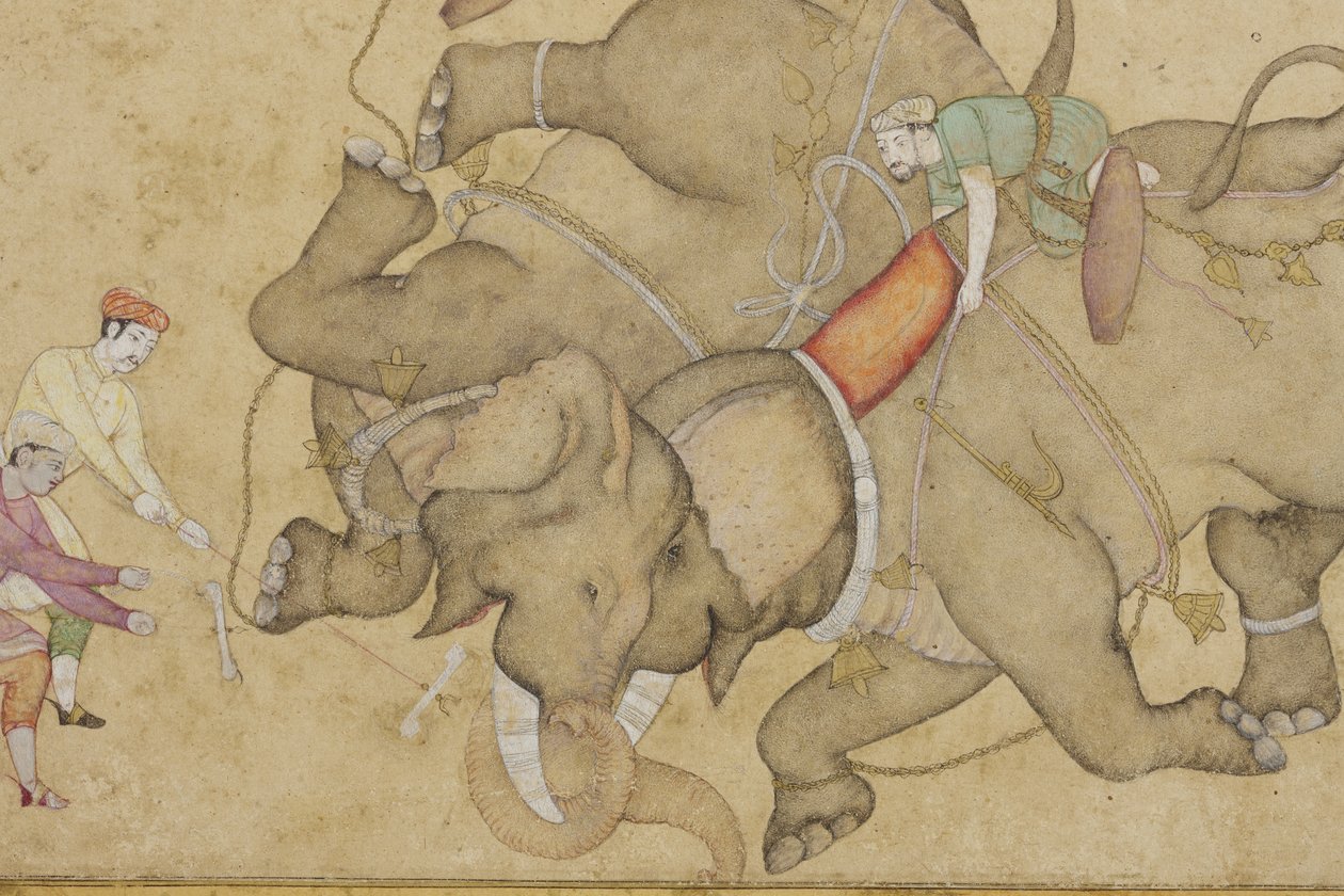 تفاصيل عن قتال الفيل ، مع حدود نبات الأرابيسك المزخرف ، c.1610 (مرحاض غير شفاف وذهب على ورق) بواسطة المدرسة الهندية
