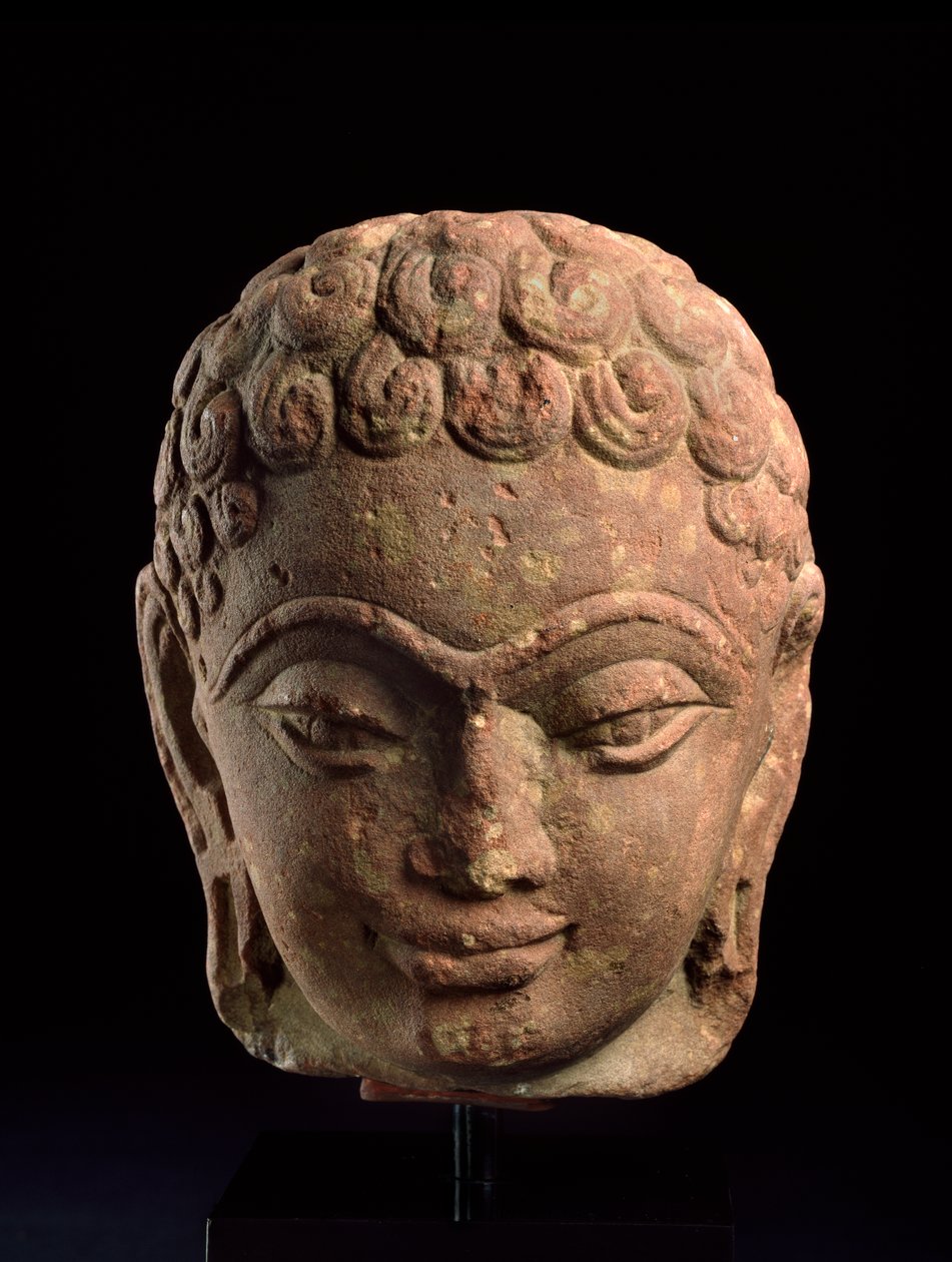 رأس Jain Tirthankara ، منطقة Mathura ، فترة Kushan ، القرنان الثالث والرابع الميلادي (الحجر الرملي) بواسطة المدرسة الهندية