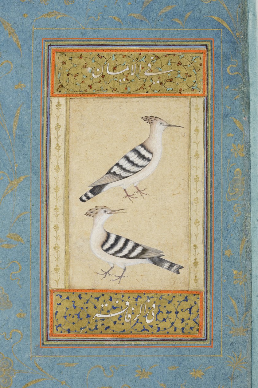 طائرون ، c.1590 (مرحاض غير شفاف وذهب على ورق) بواسطة المدرسة الهندية