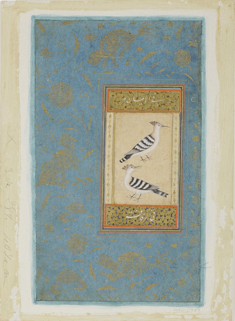 طائرون ، c.1590 (مرحاض غير شفاف وذهب على ورق) بواسطة المدرسة الهندية