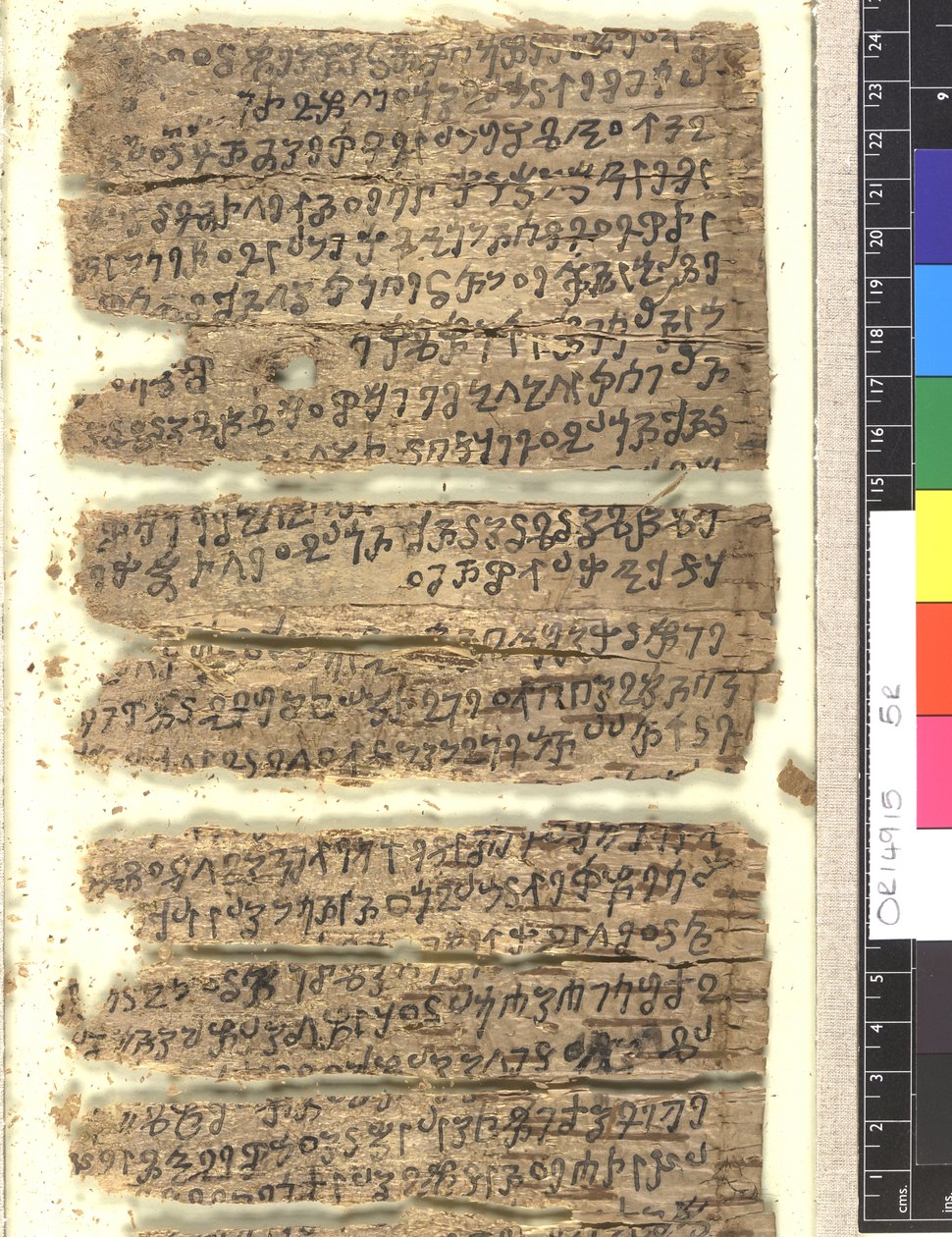 OMS OR 14915 f.5r شظايا من مخطوطة لحاء البتولا في الخروشي بواسطة المدرسة الهندية