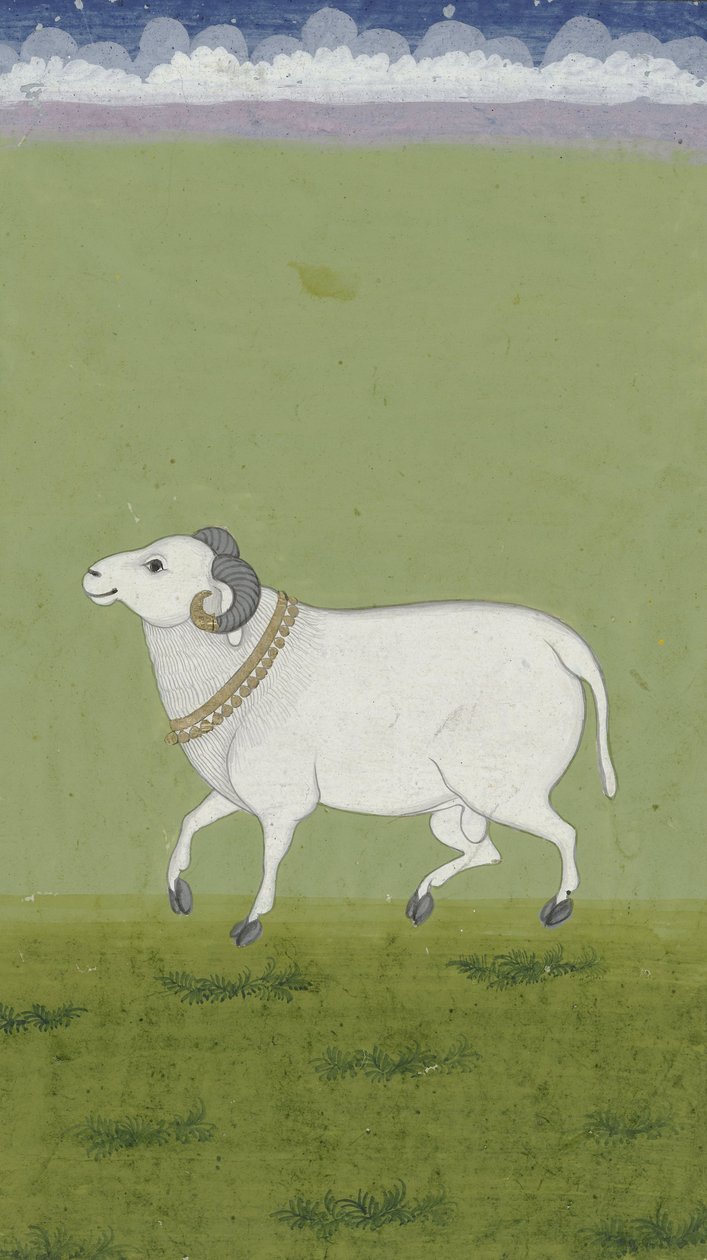 رام مع طوق ذهبي ، 1700-1799 بواسطة المدرسة الهندية