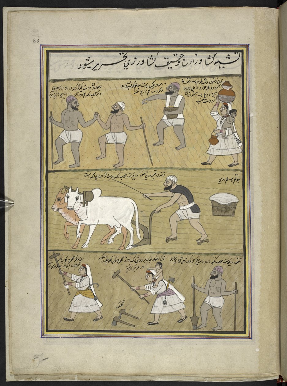 بذر الأرز حراثة كسر clods ،  86 رسمة مجمعة في مجلد تصور الحرف والمهن في كشمير ، يظهر الحرفيون في العمل بأدواتهم ومعداتهم ،  بواسطة فنان من كشمير ، ربما في سريناغار ، حوالي 1850-60 (الغواش على ورق بواسطة المدرسة الهندية
