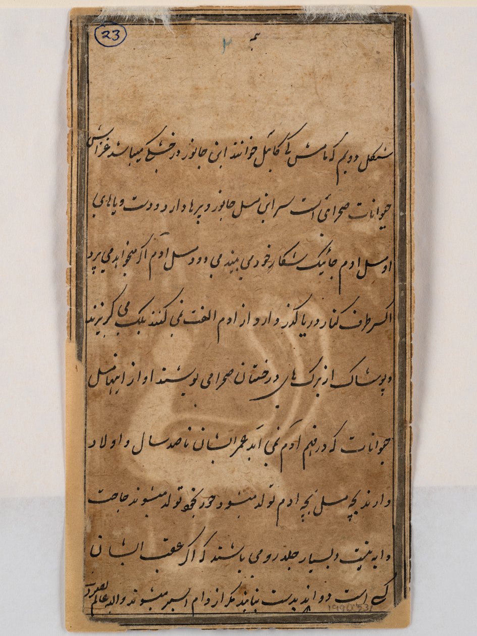  بواسطة المدرسة الهندية