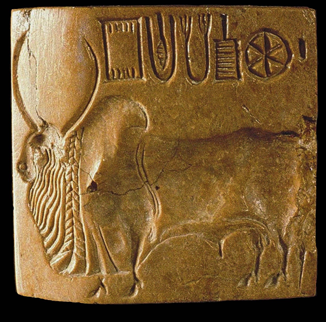 تم العثور على ختم Zebu Bull مع مخطوطة Indus في Mohenjo Daro ، Indus Valley ، الألفية الثالثة قبل الميلاد. بواسطة حضارة وادي السند.