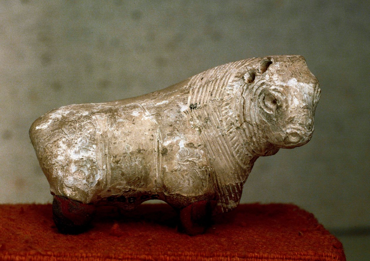 حضارة وادي السند (5000 قبل الميلاد): ثور. تمثال من الطين من موهينجو دارو (موهينجو دارو) (باكستان) ، 2400 قبل الميلاد. كراتشي ، المتحف الوطني ، باكستان بواسطة حضارة وادي السند