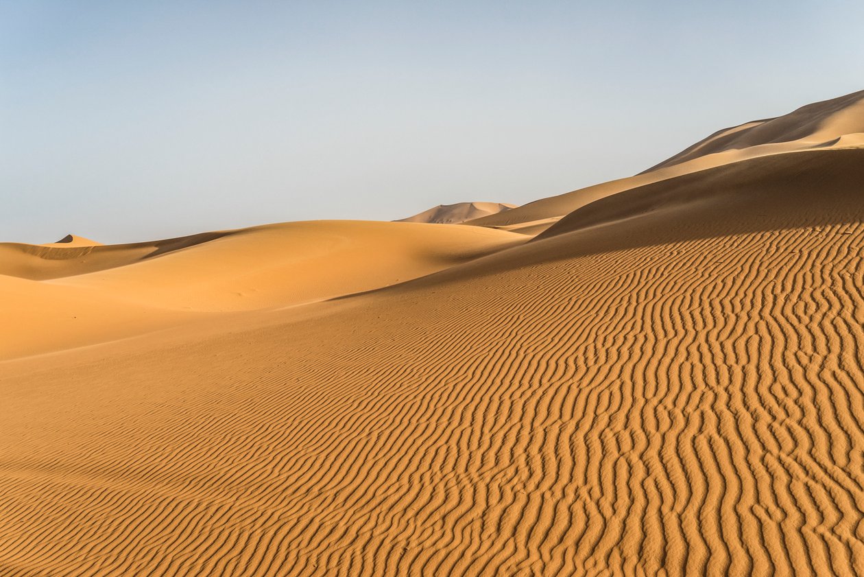  بواسطة ايرا بلوك