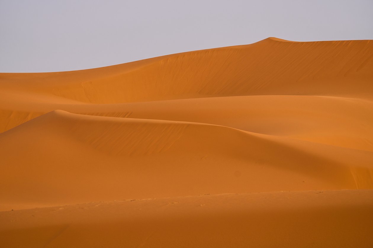  بواسطة ايرا بلوك